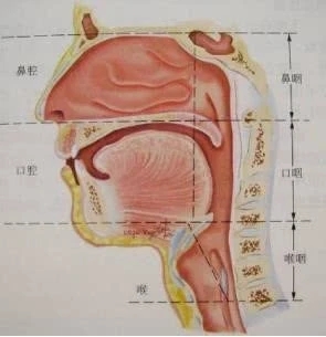 核酸檢測(cè)的標(biāo)本采集拭子關(guān)鍵點(diǎn)是什么？